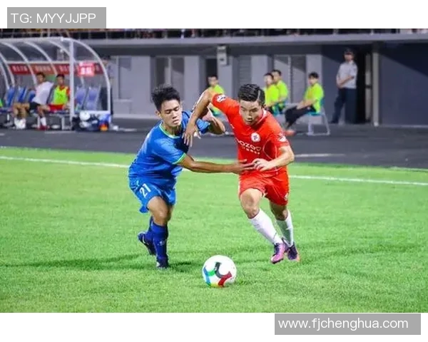 阿雅与布尔格2017年对决精彩回顾与赛后分析