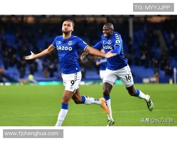 埃弗顿与莱斯特城精彩对决全场录像回放及精彩瞬间解析