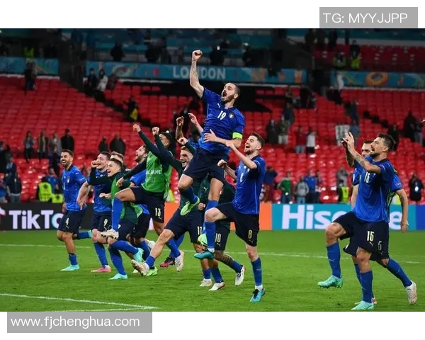 欧洲杯:冰岛队无缘晋级,荣耀之路暂时告别