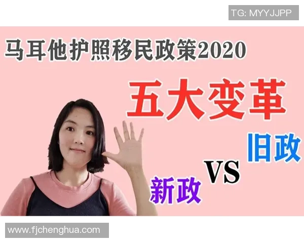 根特与巴伦西亚最新排名分析及对比探讨