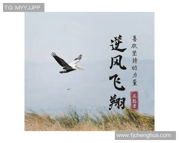 李天秀的传奇人生与奋斗历程揭示了梦想与坚持的力量